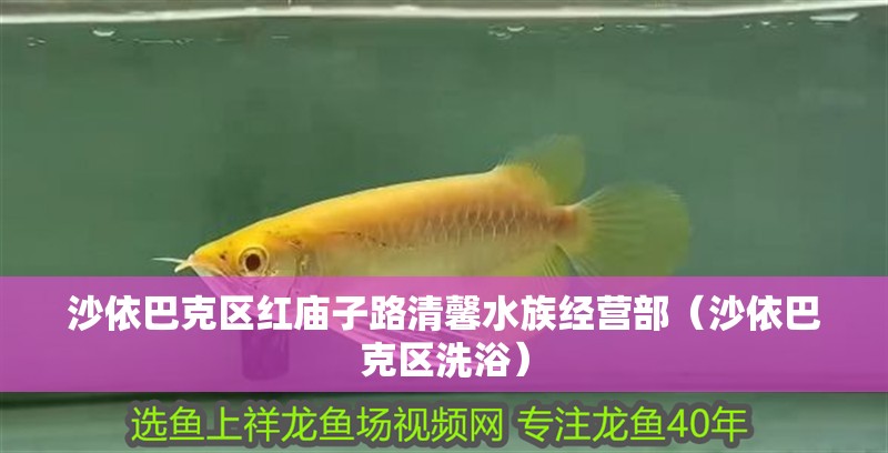 沙依巴克區(qū)紅廟子路清馨水族經(jīng)營(yíng)部（沙依巴克區(qū)洗浴）