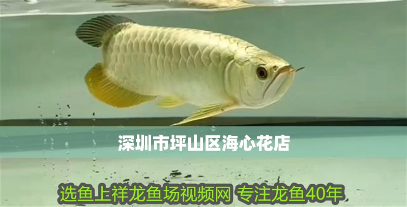 深圳市坪山區海心花店