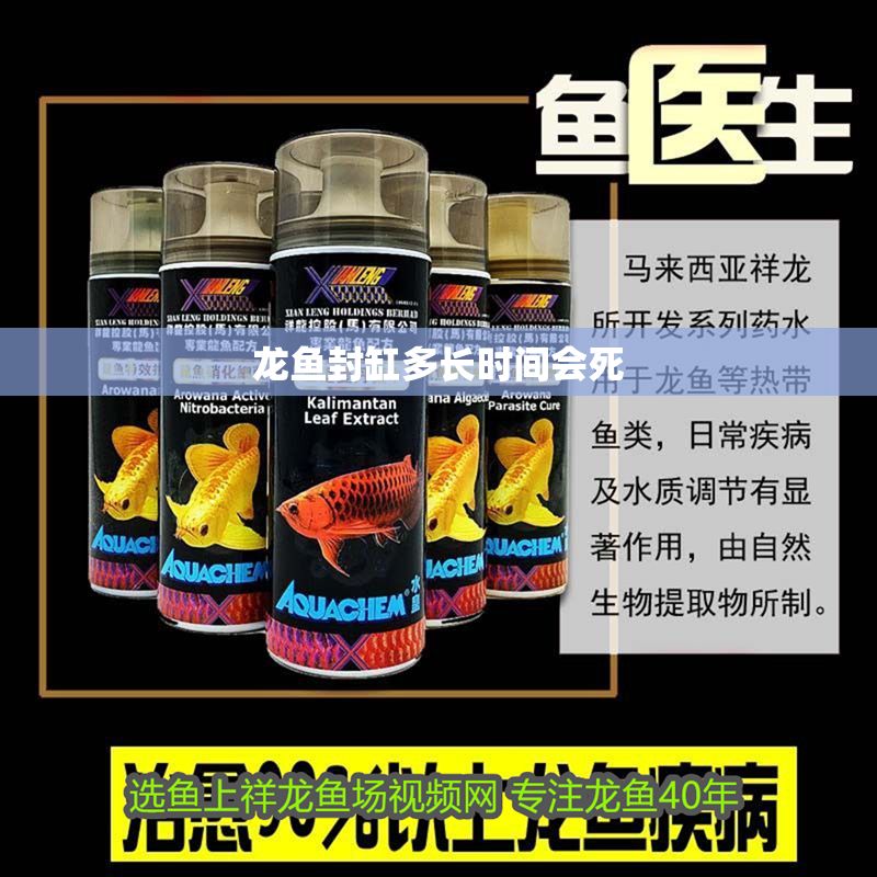 龍魚封缸多長時(shí)間會(huì)死