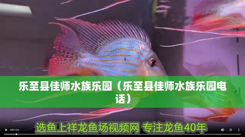 樂至縣佳師水族樂園（樂至縣佳師水族樂園電話）