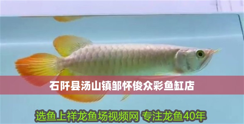 石阡縣湯山鎮(zhèn)鄒懷俊眾彩魚缸店