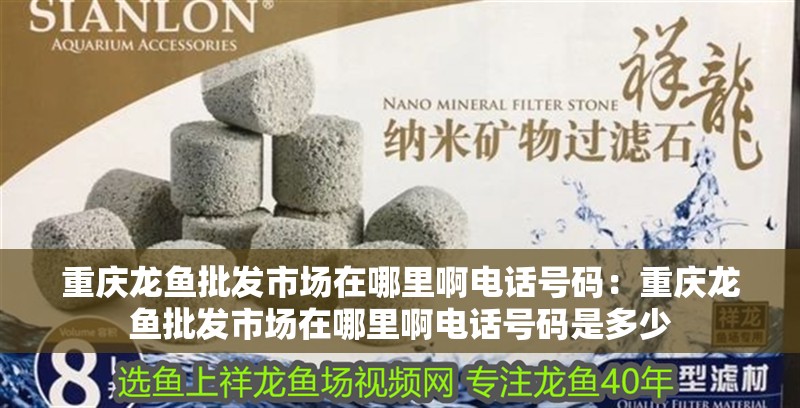 重慶龍魚批發(fā)市場在哪里啊電話號碼：重慶龍魚批發(fā)市場在哪里啊電話號碼是多少