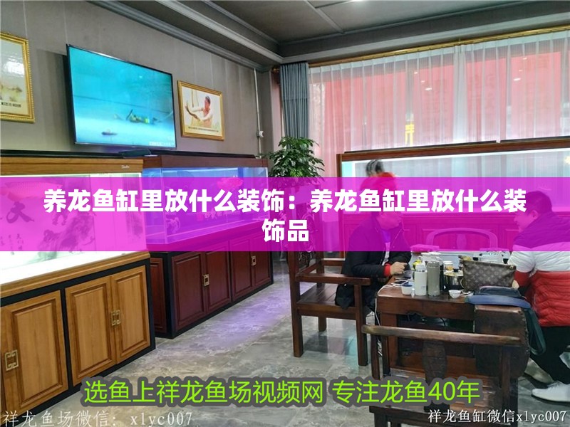 養龍魚缸里放什么裝飾：養龍魚缸里放什么裝飾品
