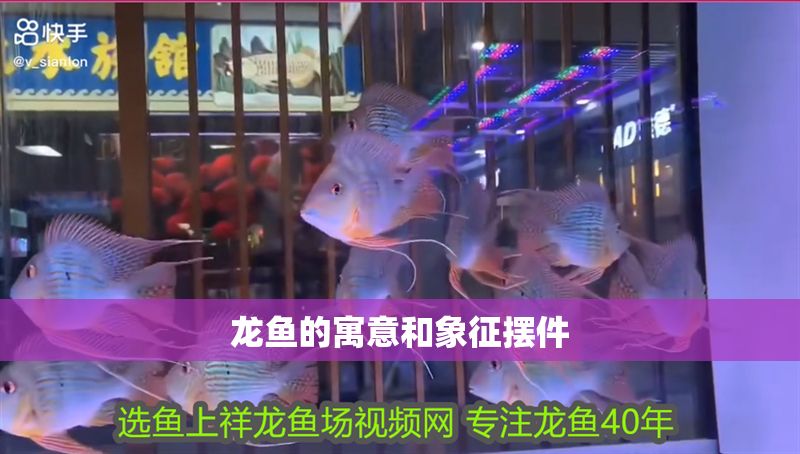 龍魚的寓意和象征擺件