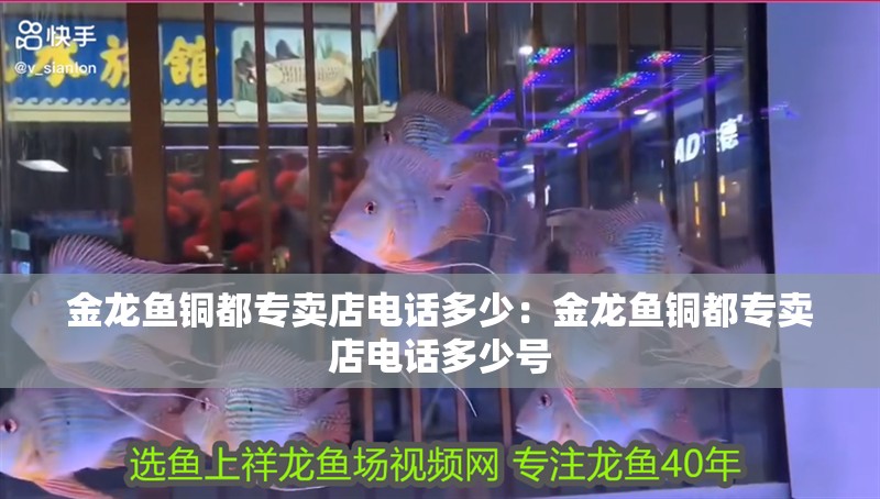 金龍魚銅都專賣店電話多少：金龍魚銅都專賣店電話多少號(hào)