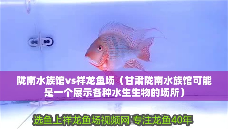 隴南水族館vs祥龍魚場（甘肅隴南水族館可能是一個展示各種水生生物的場所）