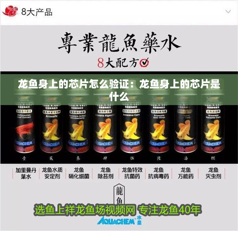 龍魚身上的芯片怎么驗證：龍魚身上的芯片是什么