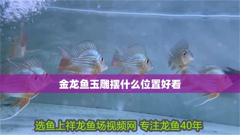 金龍魚玉雕擺什么位置好看
