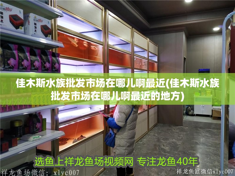 佳木斯水族批發市場在哪兒啊最近(佳木斯水族批發市場在哪兒啊最近的地方)