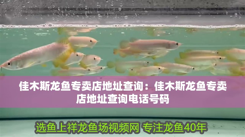 佳木斯龍魚專賣店地址查詢：佳木斯龍魚專賣店地址查詢電話號碼
