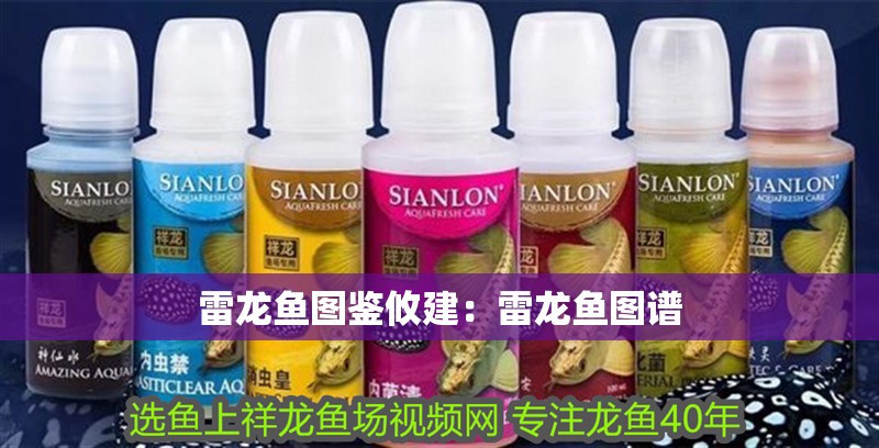 雷龍魚圖鑒攸建：雷龍魚圖譜