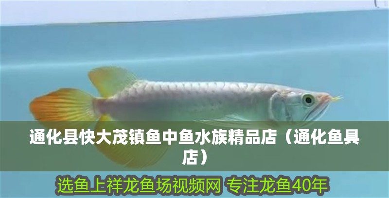 通化縣快大茂鎮(zhèn)魚中魚水族精品店（通化魚具店）
