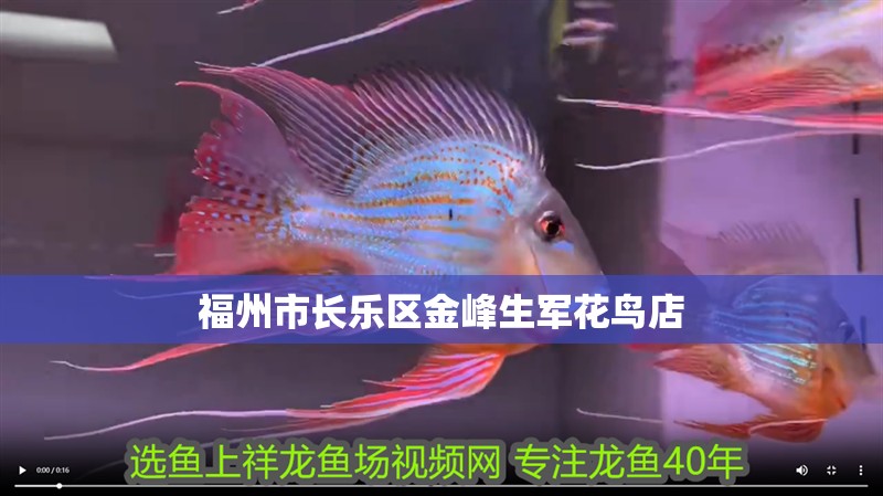 福州市長樂區金峰生軍花鳥店