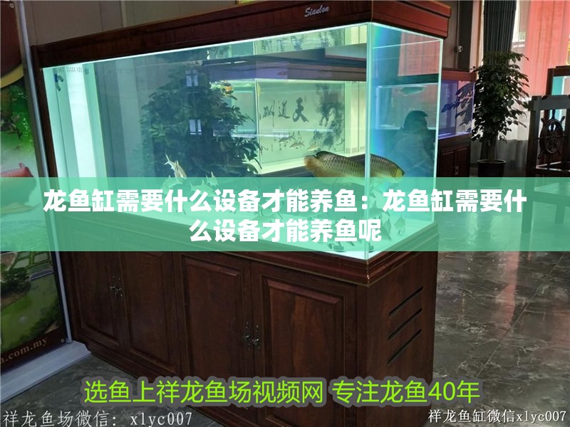 龍魚缸需要什么設備才能養魚：龍魚缸需要什么設備才能養魚呢