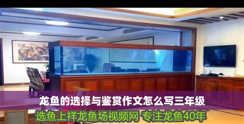 龍魚的選擇與鑒賞作文怎么寫三年級