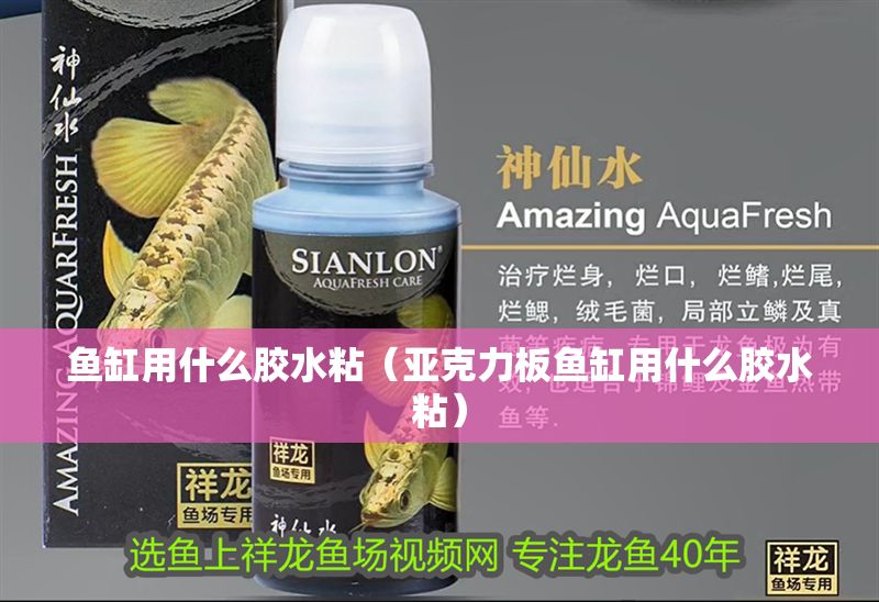 魚缸用什么膠水粘（亞克力板魚缸用什么膠水粘）