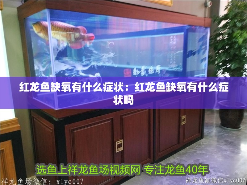 紅龍魚缺氧有什么癥狀：紅龍魚缺氧有什么癥狀嗎