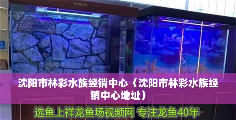 沈陽(yáng)市林彩水族經(jīng)銷(xiāo)中心（沈陽(yáng)市林彩水族經(jīng)銷(xiāo)中心地址）