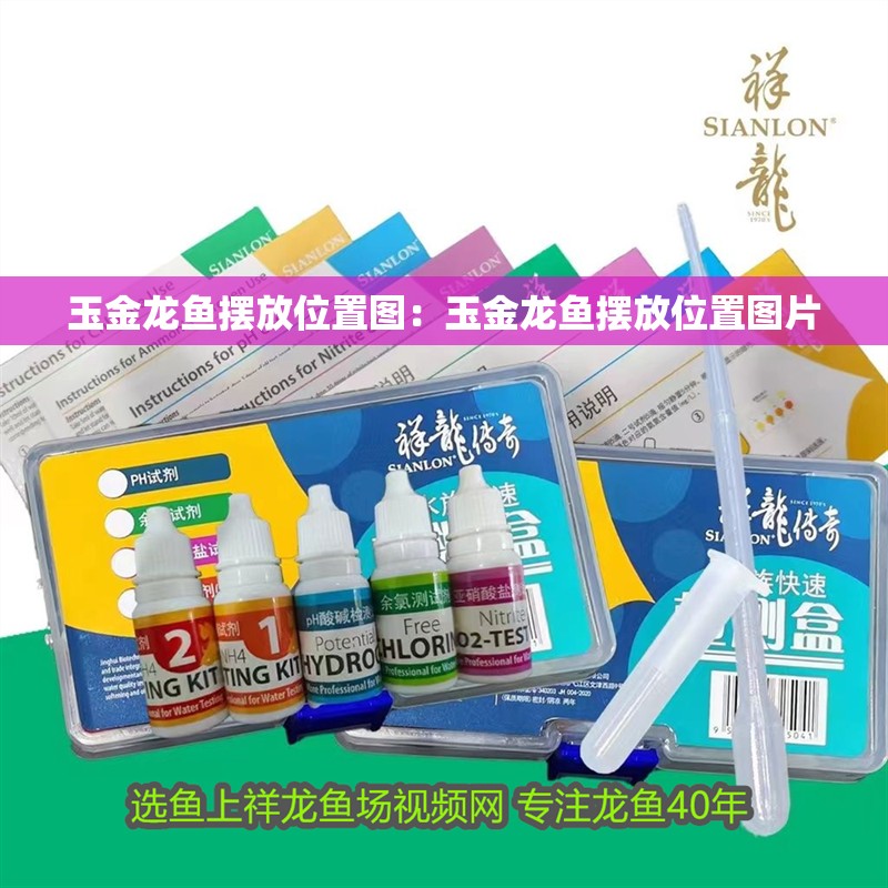 玉金龍魚擺放位置圖：玉金龍魚擺放位置圖片