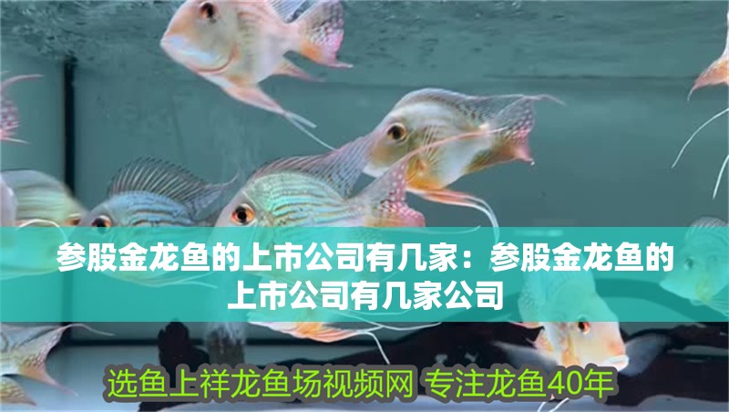參股金龍魚的上市公司有幾家：參股金龍魚的上市公司有幾家公司