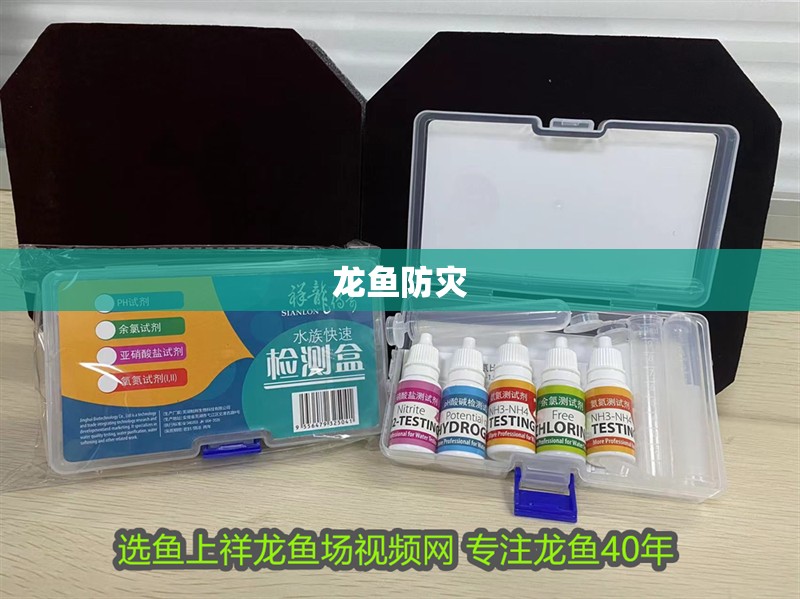 龍魚防災