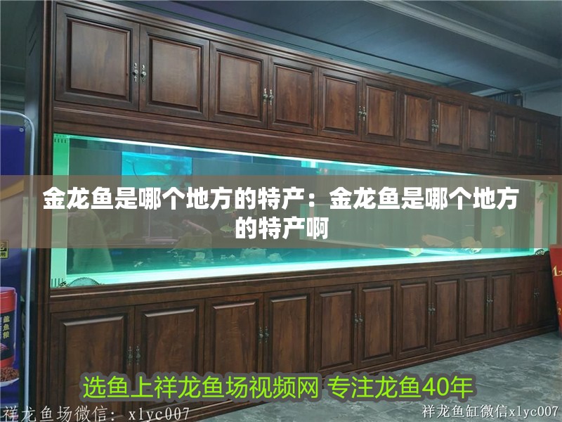 金龍魚是哪個地方的特產：金龍魚是哪個地方的特產啊