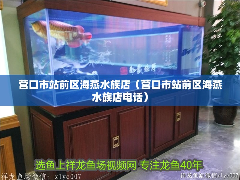 營口市站前區海燕水族店（營口市站前區海燕水族店電話）
