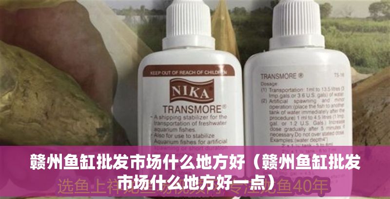 贛州魚缸批發市場什么地方好（贛州魚缸批發市場什么地方好一點）