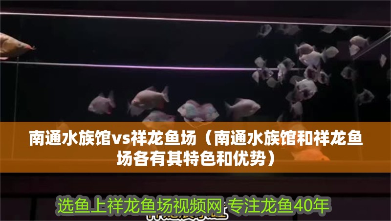 <strong><mark>南通</mark></strong>水族館vs祥龍魚場（<strong><mark>南通</mark></strong>水族館和祥龍魚場各有其特色和優勢）