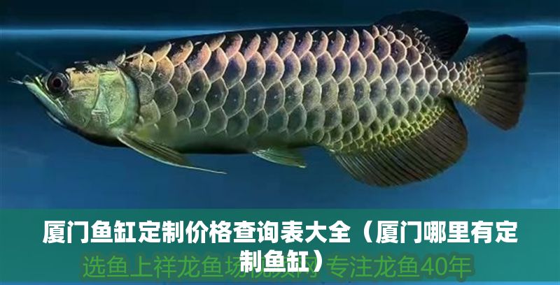廈門魚缸定制價(jià)格查詢表大全（廈門哪里有定制魚缸）