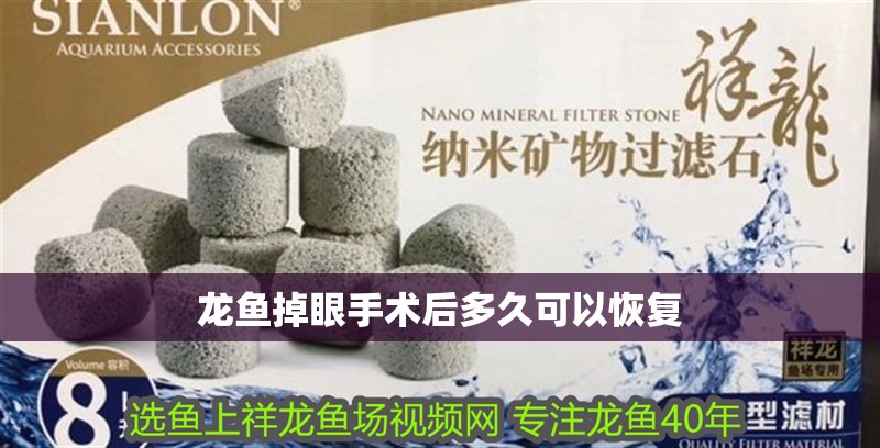 龍魚(yú)掉眼手術(shù)后多久可以恢復(fù)