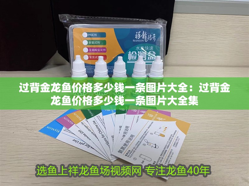 過背金龍魚價格多少錢一條圖片大全：過背金龍魚價格多少錢一條圖片大全集