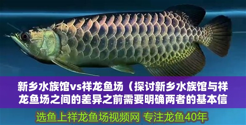 新鄉水族館vs祥龍魚場（探討新鄉水族館與祥龍魚場之間的差異之前需要明確兩者的基本信息）