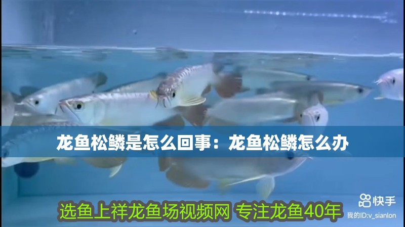 龍魚松鱗是怎么回事：龍魚松鱗怎么辦