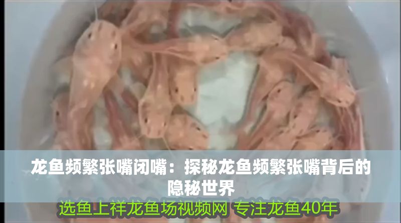 龍魚頻繁張嘴閉嘴：探秘龍魚頻繁張嘴背后的隱秘世界