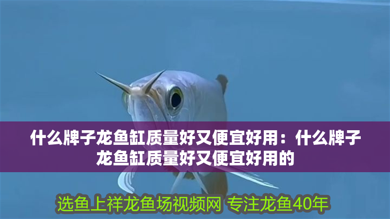 什么牌子龍魚缸質量好又便宜好用：什么牌子龍魚缸質量好又便宜好用的