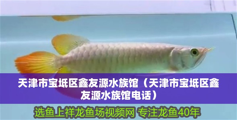 天津市寶坻區(qū)鑫友源水族館（天津市寶坻區(qū)鑫友源水族館電話）