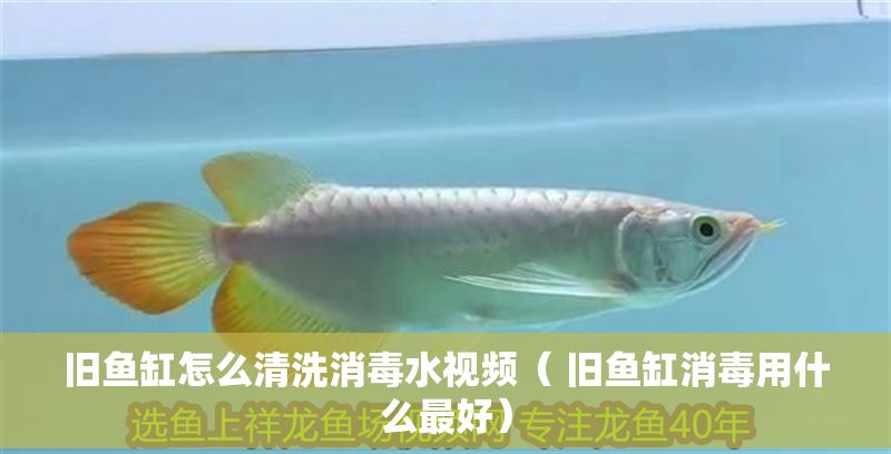 舊魚缸怎么清洗消毒水視頻（ 舊魚缸消毒用什么最好）