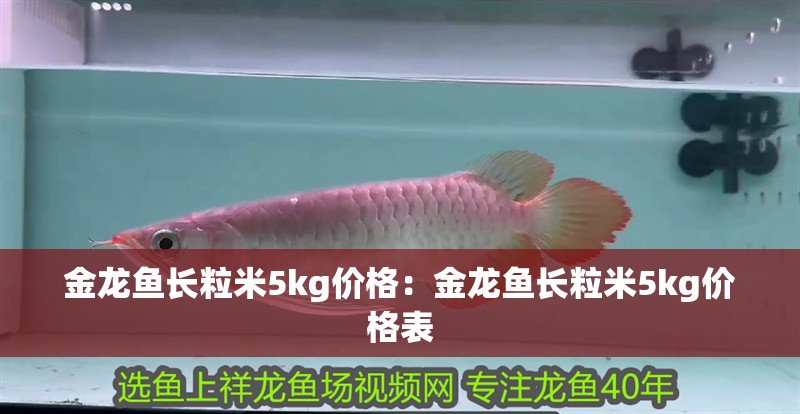 金龍魚長粒米5kg價格：金龍魚長粒米5kg價格表