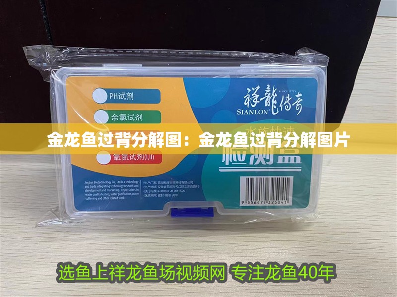 金龍魚過背分解圖：金龍魚過背分解圖片