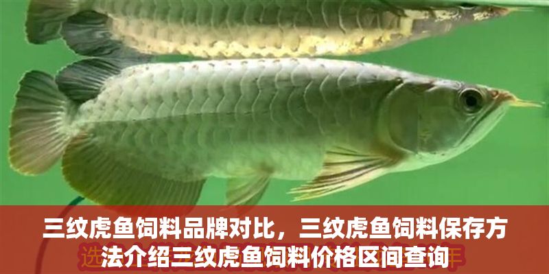三紋虎魚飼料品牌對比，三紋虎魚飼料保存方法介紹三紋虎魚飼料價格區(qū)間查詢