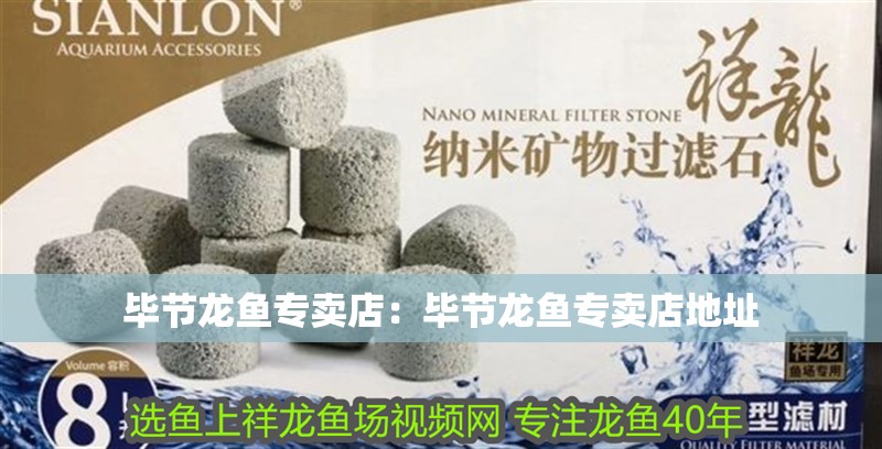 畢節龍魚專賣店：畢節龍魚專賣店地址