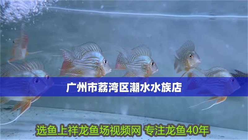 廣州市荔灣區潮水水族店