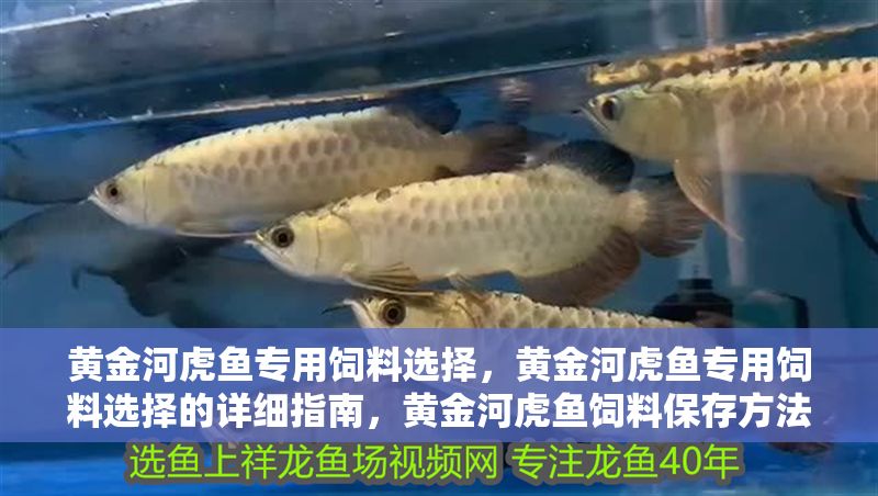 黃金河虎魚專用飼料選擇，黃金河虎魚專用飼料選擇的詳細指南，黃金河虎魚飼料保存方法