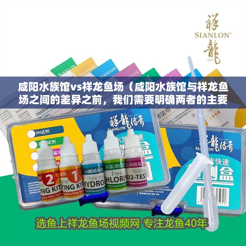 咸陽水族館vs祥龍魚場（咸陽水族館與祥龍魚場之間的差異之前，我們需要明確兩者的主要業務和特點）