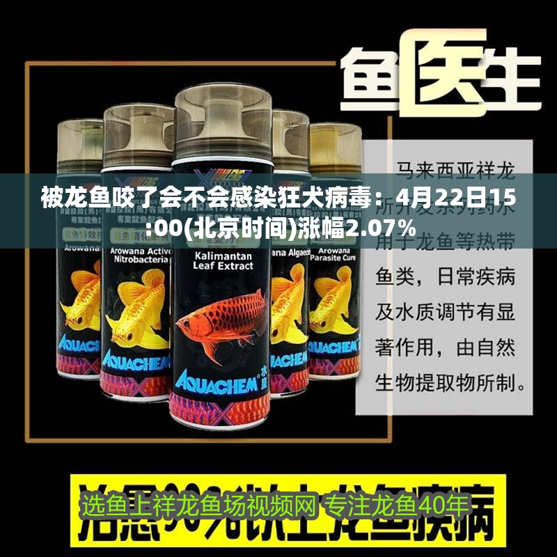 被龍魚咬了會(huì)不會(huì)感染狂犬病毒：4月22日15:00(北京時(shí)間)漲幅2.07%