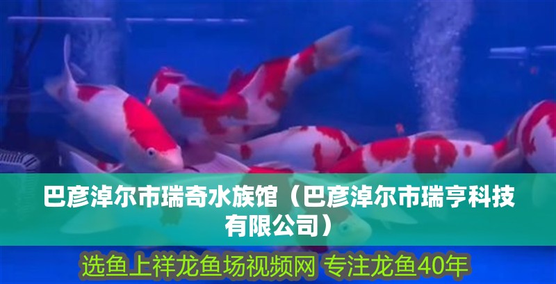巴彥淖爾市瑞奇水族館（巴彥淖爾市瑞亨科技有限公司）