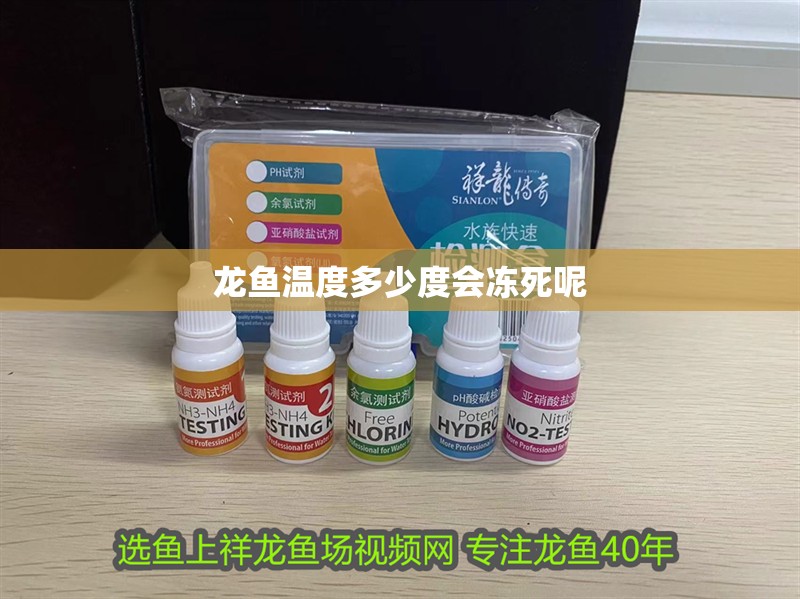 龍魚溫度多少度會凍死呢