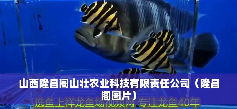 山西隆昌閣山壯農業科技有限責任公司（隆昌閣圖片）