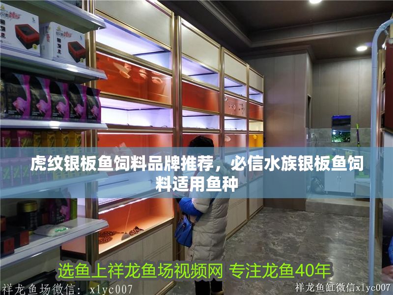 虎紋銀板魚飼料品牌推薦，必信水族銀板魚飼料適用魚種